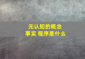 元认知的概念 事实 程序是什么